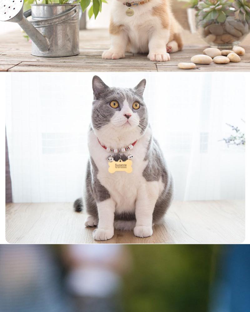 Custom Pet Name On Collar