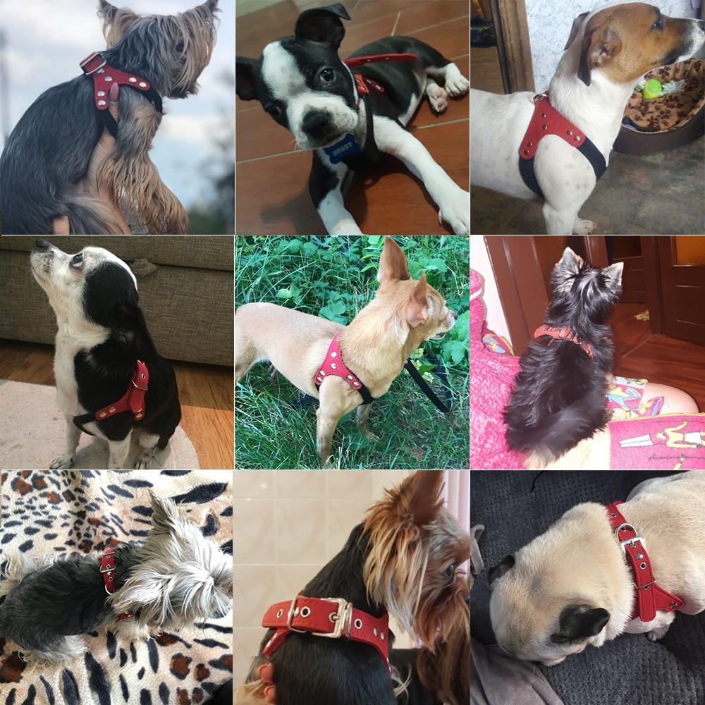 Soft Leather Harness For a Beloved Pet