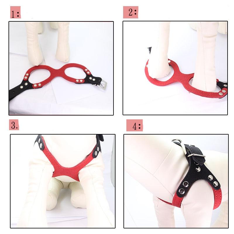 Soft Leather Harness For a Beloved Pet