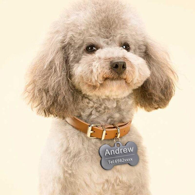 Custom Pet Name On Collar