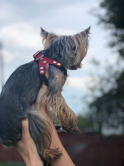 Soft Leather Harness For a Beloved Pet