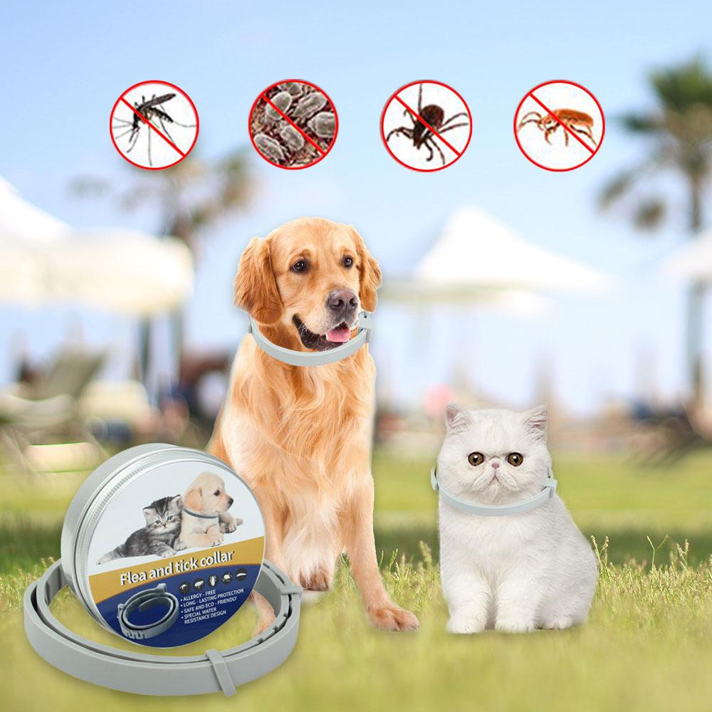 Anti Flea Tick Collar For Pets