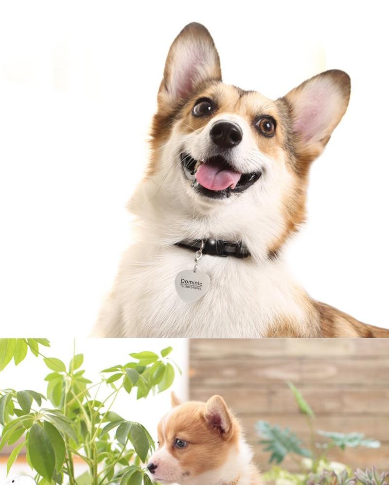 Custom Pet Name On Collar