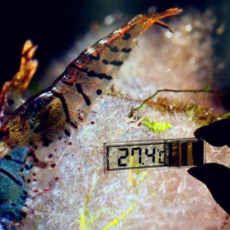 3D Electronic Thermometer For Aquarium