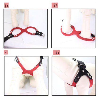 Soft Leather Harness For a Beloved Pet
