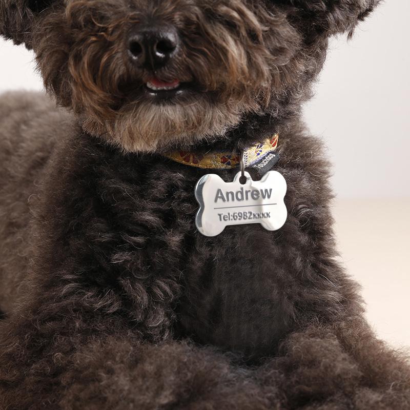 Custom Pet Name On Collar